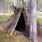 Mark's Field Shelter