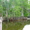 Kissimmee River at Lake Hatchineha