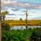 Springfed Lake,Catfish Creek