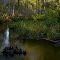 Catfish Creek (KEG photo)