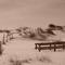 Gulf Islands National Seashore