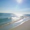 National Seashore Navarre Beach FL