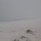 White Out...Florida Style at the National Seashore Park on Santa Rosa Island, Florida  (December 2011)