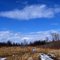 Pinconning Nature Preserve