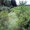 Pinconning Area