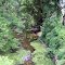 Pinconning River