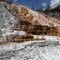 Yellowstone Mineral Springs