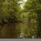 Dixon Field, Croatan National Forest, North Carolina
