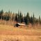 Chena Hot Springs Rd, N of Fairbanks, Alaska, fall 1971