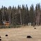 Alaska - Chena Hot Springs Rd