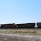 BNSF 6331