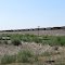 UP over the BNSF