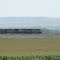 Union Pacific