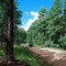 Timberon, NM