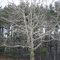 Mendon Ponds Park