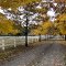 Mendon Farm