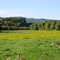Virginia Lake / meadow.  This is the site of a seasonal lake much used during the winter by waterfoul.  Access to viewing platforms is by trail.