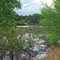 Boot Lake, Ridgefield National Wildlife Refuge – Carty Unit