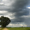Sauvie Island, OR