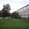 Marian Catholic High School