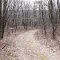 Trails and Trails