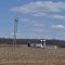 Corn stalks and power poles.