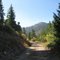 Fall in Boise National Forest