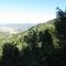 Overlooking the Middle Fork River Canyon