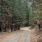 Phifer Creek Road