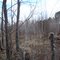 three bears camp
