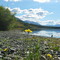 summit Lake