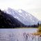 Jerome Lake, Kenai, Alaska, july 1971