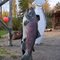 Alaska | Kenai Peninsula