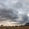 Storm rising in Arizona desert by Federico