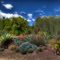 Los Angeles Pierce College_Botanical Garden