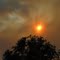 Sesnon Fire 10-13-08 Chatsworth CA