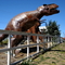 Dinosaurs in Gualala
