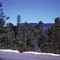 Point Arena Air Force Station from below. 1966