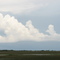 Everglades near Miccosukee