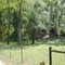 Letchworth Mound, Florida