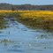 The 2011 drought has left the channel impassible