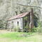 abandoned weathered cracker house, west end of historic district, Lloyd, Fla (3-16-2008) 1