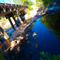 Lloyd Creek