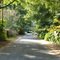 34th Place - Gainesville, Florida - December