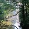 Morning mist on Little Hatchet Creek near Waldo Road