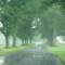 Pioggia al Berry College