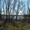 Old Beach Area ~ Otter Creek Lake