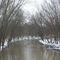 Winter on the River