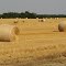 Wheat Straw Bales, Kansas