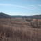 Wetland Restoration Project